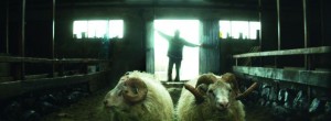 Rams, la historia de dos hermanos y ocho ovejas: Separados del rebaño 1