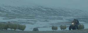 Rams, la historia de dos hermanos y ocho ovejas: Separados del rebaño 2