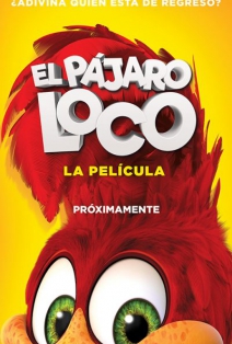 40 ideas de Pajaro loco  imagenes del pajaro loco, pajaros, dibujos  animados